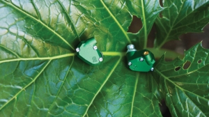 Наушники Campfire Audio Andromeda