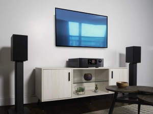 Интегральный усилитель Rotel RAS-5000